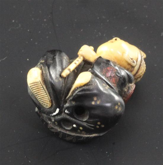 A Japanese wood, lacquer and ivory netsuke, Meiji period, 4.2cm